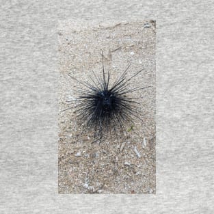 Black Diadem sea urchin in close up on sand beach T-Shirt